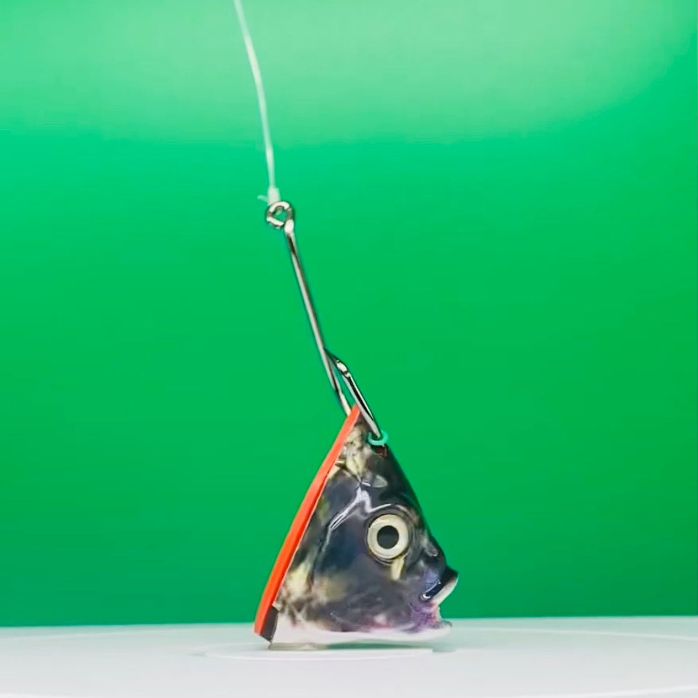 The Bait Pocket Bluegill Sunfish Fishing Solutions LLC